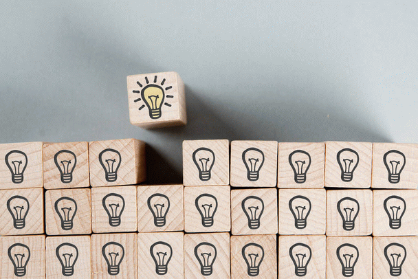 17 نکته درباره طوطی کانور خورشیدی؛ آفتابی پر جنب و جوش!